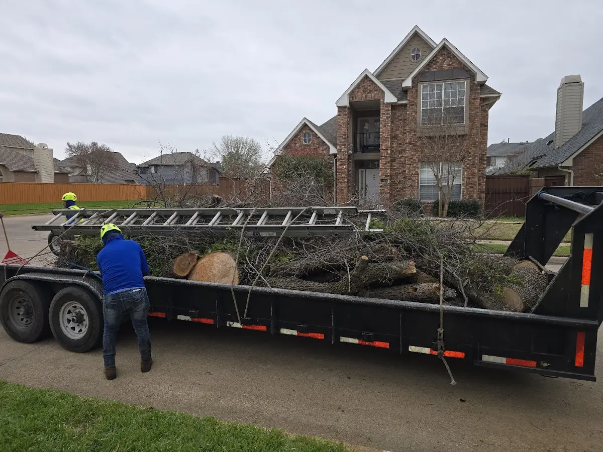 Expert Lot Clearing with proper safety equipment in Bacliff